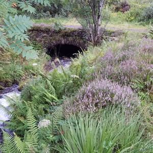 Meet your Posher, Leslie